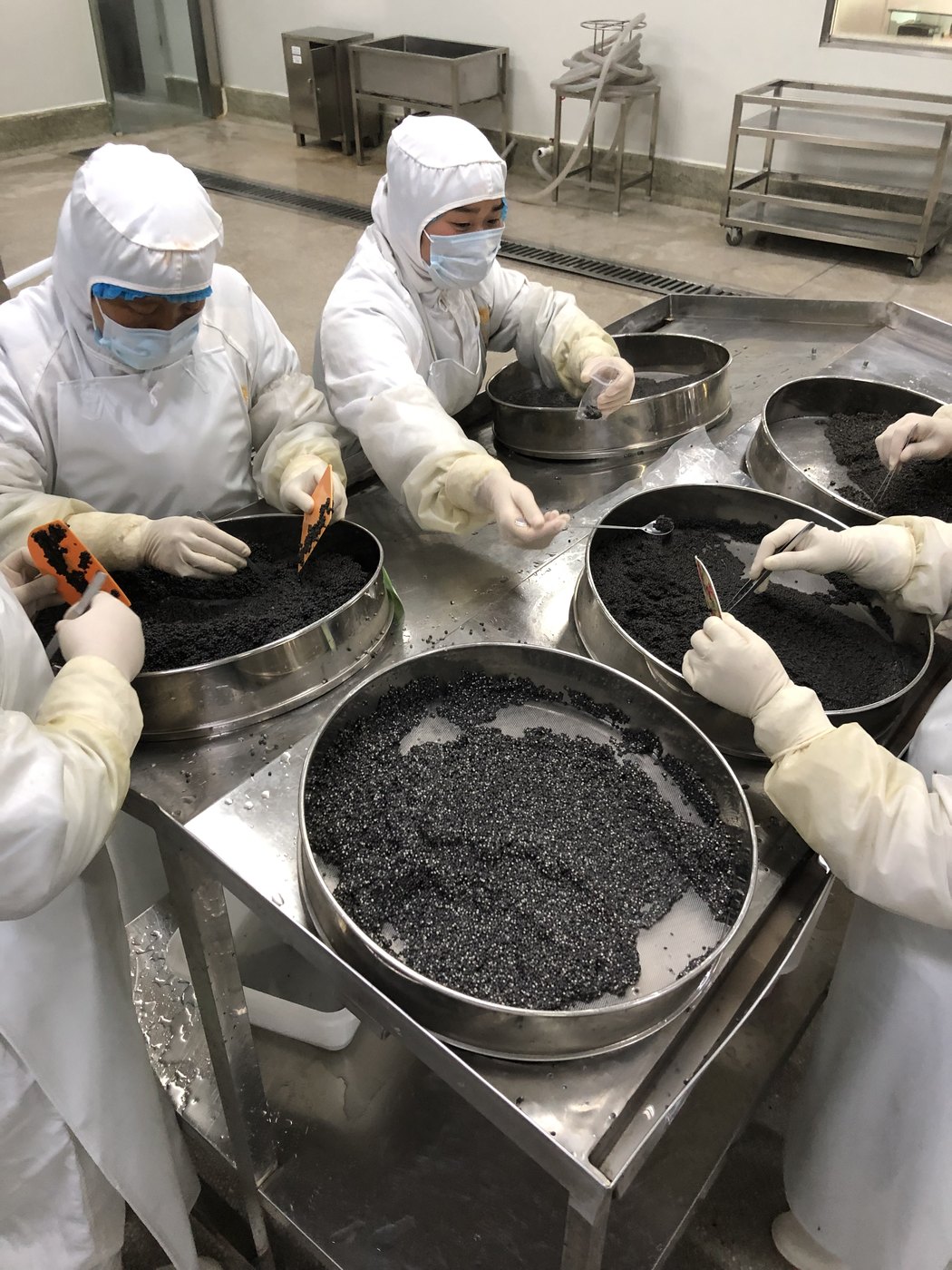 Sifting the caviar